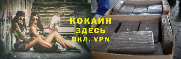 ГАЛЛЮЦИНОГЕННЫЕ ГРИБЫ Каменногорск