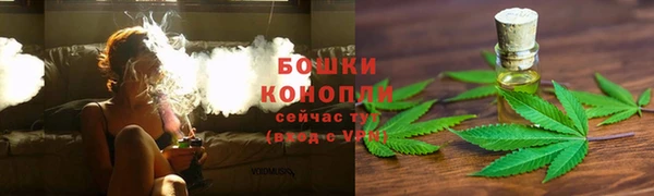 ГАЛЛЮЦИНОГЕННЫЕ ГРИБЫ Каменногорск