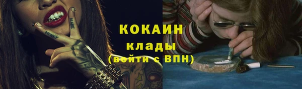 винт Каменка