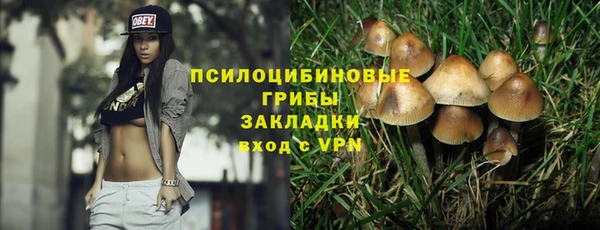 гашик Каменск-Шахтинский