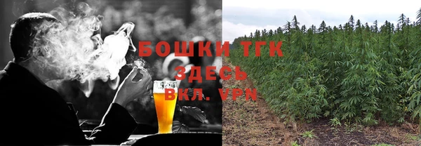 ГАЛЛЮЦИНОГЕННЫЕ ГРИБЫ Каменногорск